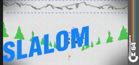 Slalom! thumbnail
